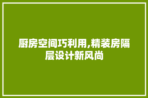厨房空间巧利用,精装房隔层设计新风尚