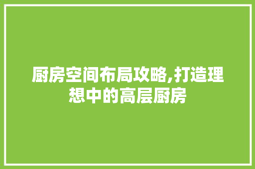 厨房空间布局攻略,打造理想中的高层厨房