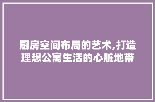 厨房空间布局的艺术,打造理想公寓生活的心脏地带