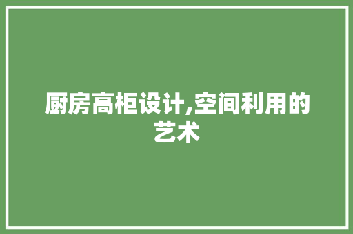 厨房高柜设计,空间利用的艺术