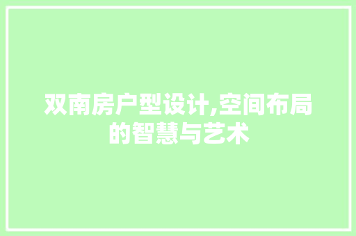 双南房户型设计,空间布局的智慧与艺术