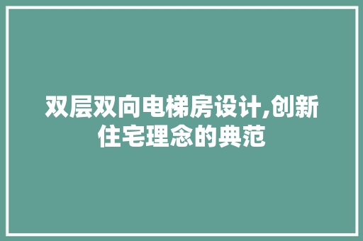 双层双向电梯房设计,创新住宅理念的典范