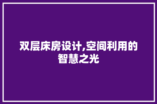 双层床房设计,空间利用的智慧之光