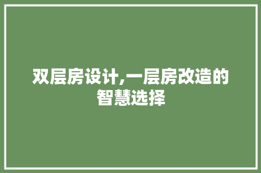 双层房设计,一层房改造的智慧选择