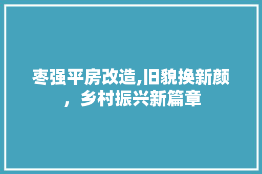 枣强平房改造,旧貌换新颜，乡村振兴新篇章