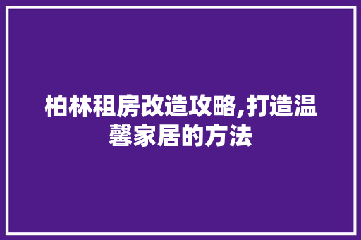 柏林租房改造攻略,打造温馨家居的方法