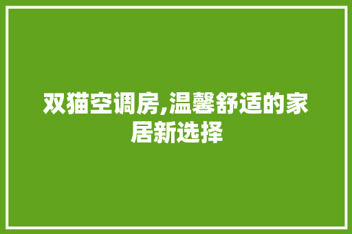 双猫空调房,温馨舒适的家居新选择