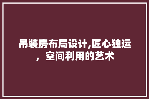 吊装房布局设计,匠心独运，空间利用的艺术