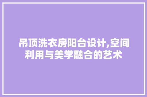 吊顶洗衣房阳台设计,空间利用与美学融合的艺术