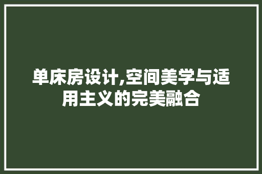 单床房设计,空间美学与适用主义的完美融合