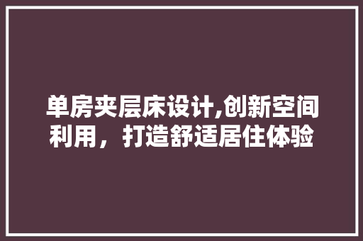 单房夹层床设计,创新空间利用，打造舒适居住体验