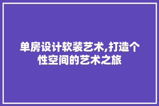 单房设计软装艺术,打造个性空间的艺术之旅