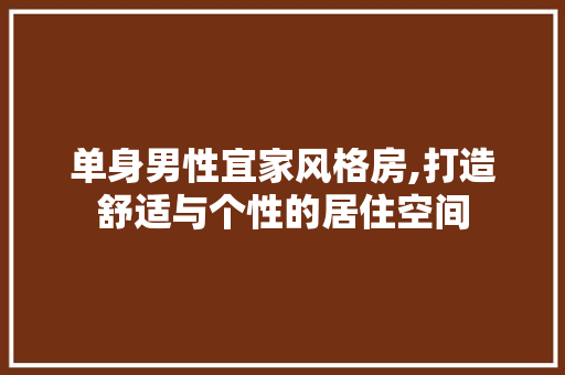 单身男性宜家风格房,打造舒适与个性的居住空间