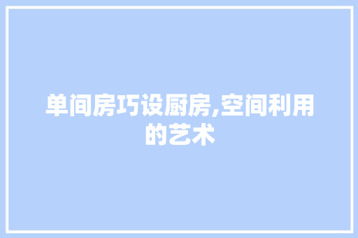 单间房巧设厨房,空间利用的艺术