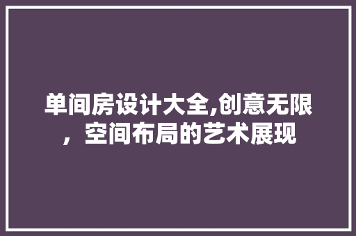 单间房设计大全,创意无限，空间布局的艺术展现