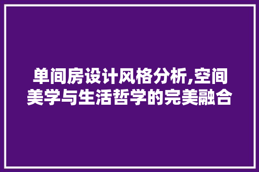 单间房设计风格分析,空间美学与生活哲学的完美融合