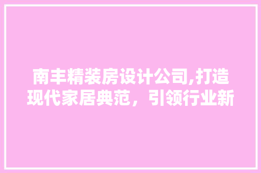 南丰精装房设计公司,打造现代家居典范，引领行业新潮流