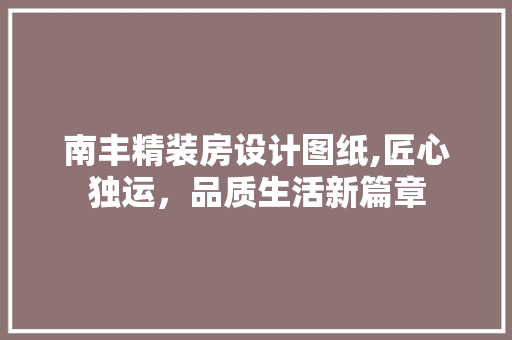 南丰精装房设计图纸,匠心独运，品质生活新篇章
