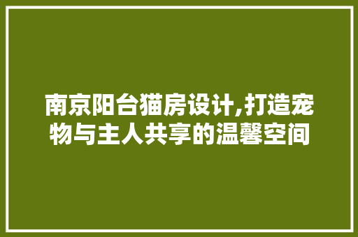 南京阳台猫房设计,打造宠物与主人共享的温馨空间