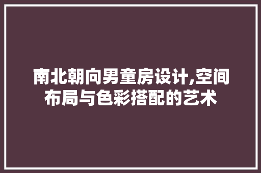 南北朝向男童房设计,空间布局与色彩搭配的艺术