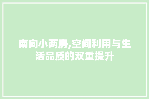 南向小两房,空间利用与生活品质的双重提升
