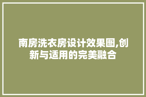 南房洗衣房设计效果图,创新与适用的完美融合