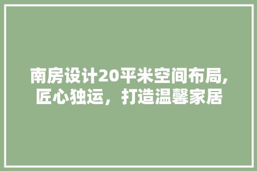 南房设计20平米空间布局,匠心独运，打造温馨家居