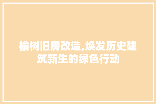 榆树旧房改造,焕发历史建筑新生的绿色行动