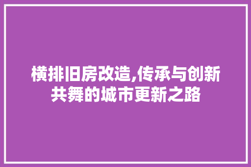 横排旧房改造,传承与创新共舞的城市更新之路