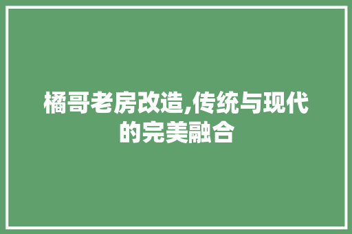 橘哥老房改造,传统与现代的完美融合