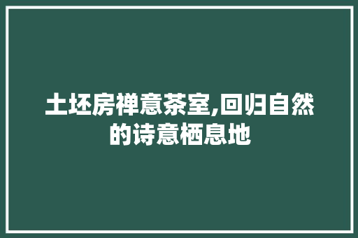 土坯房禅意茶室,回归自然的诗意栖息地