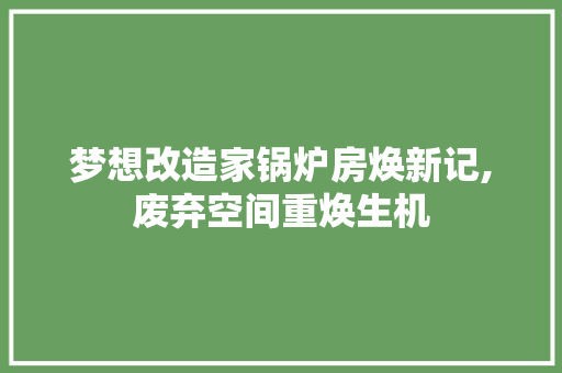 梦想改造家锅炉房焕新记,废弃空间重焕生机