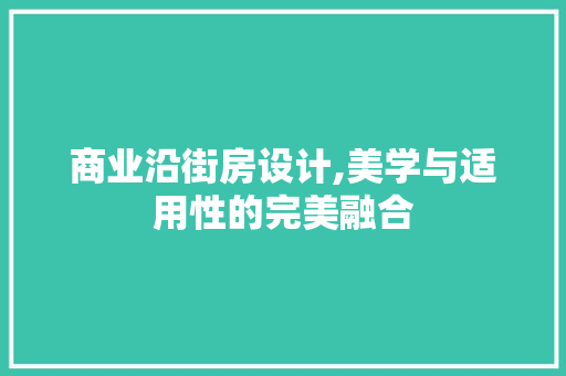 商业沿街房设计,美学与适用性的完美融合