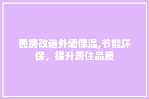 民房改造外墙保温,节能环保，提升居住品质