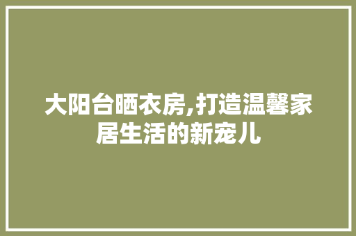 大阳台晒衣房,打造温馨家居生活的新宠儿
