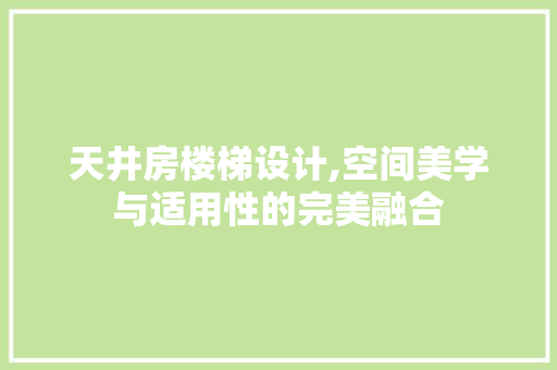 天井房楼梯设计,空间美学与适用性的完美融合