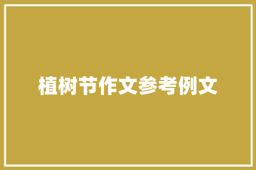 民房改造窑子,传统与现代的交融与创新