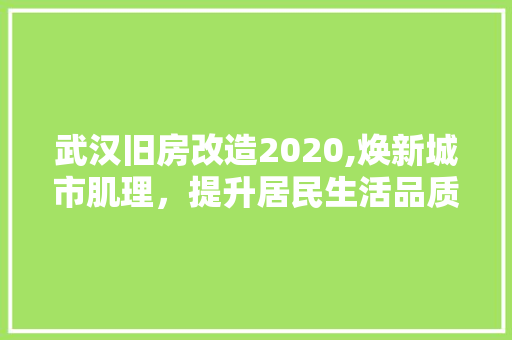 武汉旧房改造2020,焕新城市肌理，提升居民生活品质