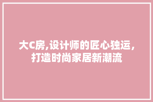 大C房,设计师的匠心独运，打造时尚家居新潮流