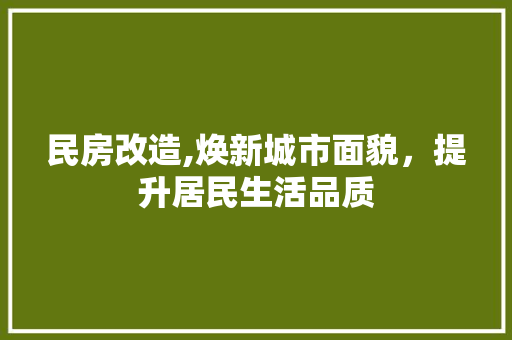 民房改造,焕新城市面貌，提升居民生活品质