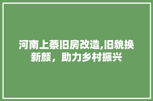河南上蔡旧房改造,旧貌换新颜，助力乡村振兴
