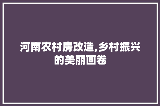 河南农村房改造,乡村振兴的美丽画卷