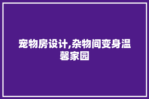 宠物房设计,杂物间变身温馨家园