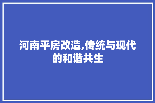 河南平房改造,传统与现代的和谐共生