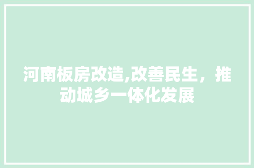 河南板房改造,改善民生，推动城乡一体化发展