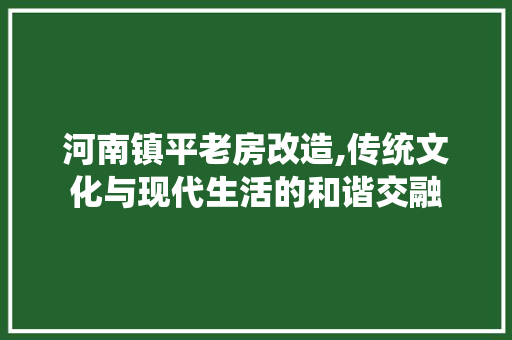 河南镇平老房改造,传统文化与现代生活的和谐交融