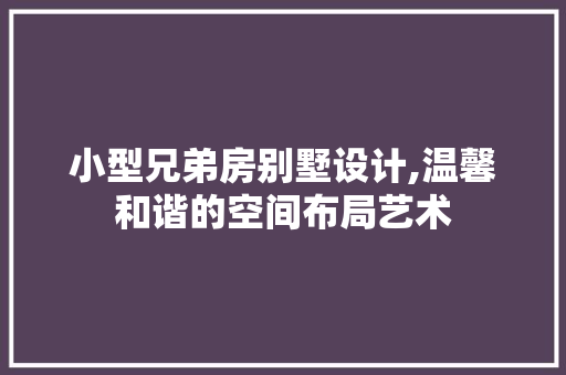 小型兄弟房别墅设计,温馨和谐的空间布局艺术