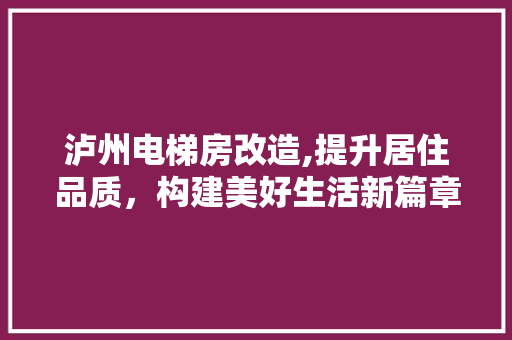 泸州电梯房改造,提升居住品质，构建美好生活新篇章