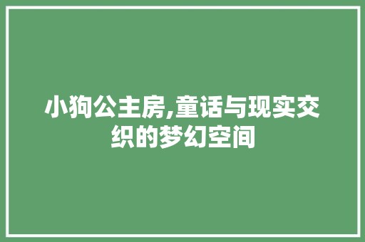 小狗公主房,童话与现实交织的梦幻空间