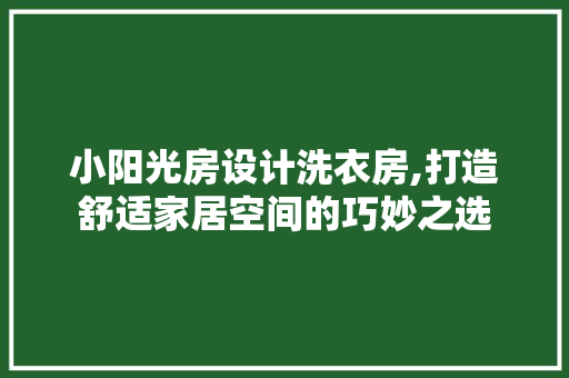 小阳光房设计洗衣房,打造舒适家居空间的巧妙之选